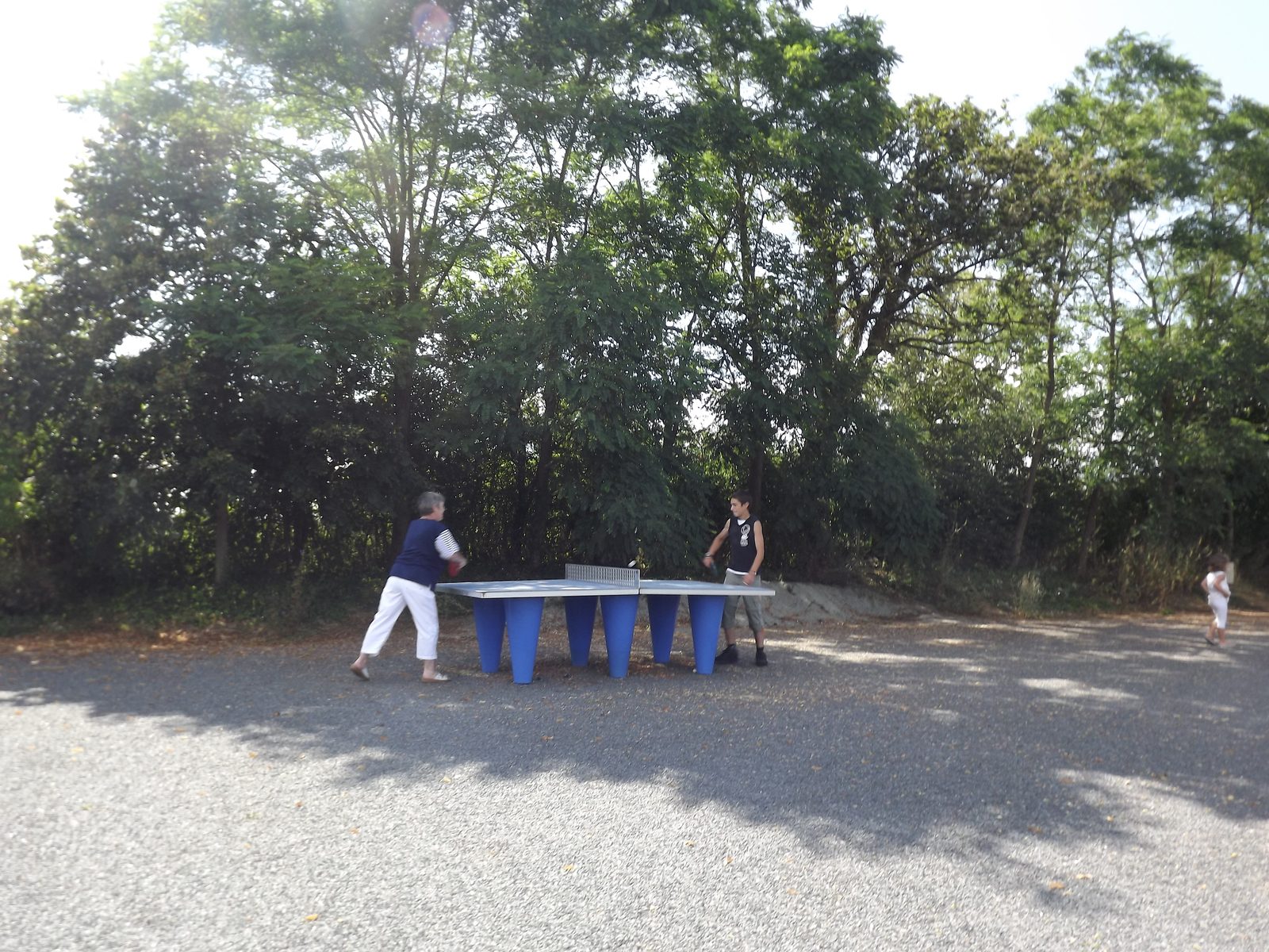 Prêt rquettes, balle ping-pong