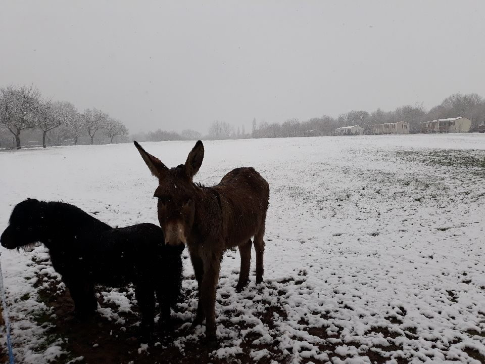 Ça n’a pas duré longtemps mais on a pu profiter un peu de la neige cette semaine…