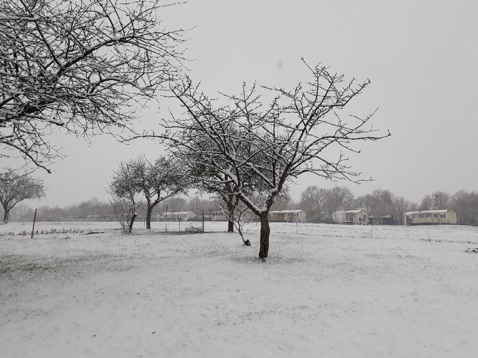 Resized_20180206_124407_1088