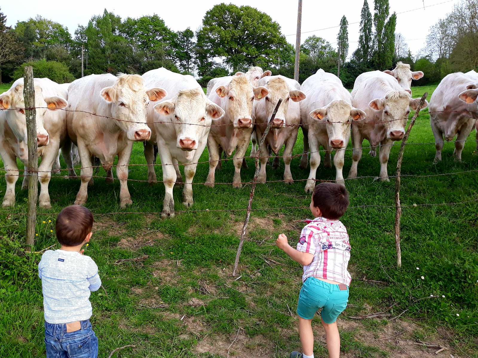 Les curieuses de L’Oumois !