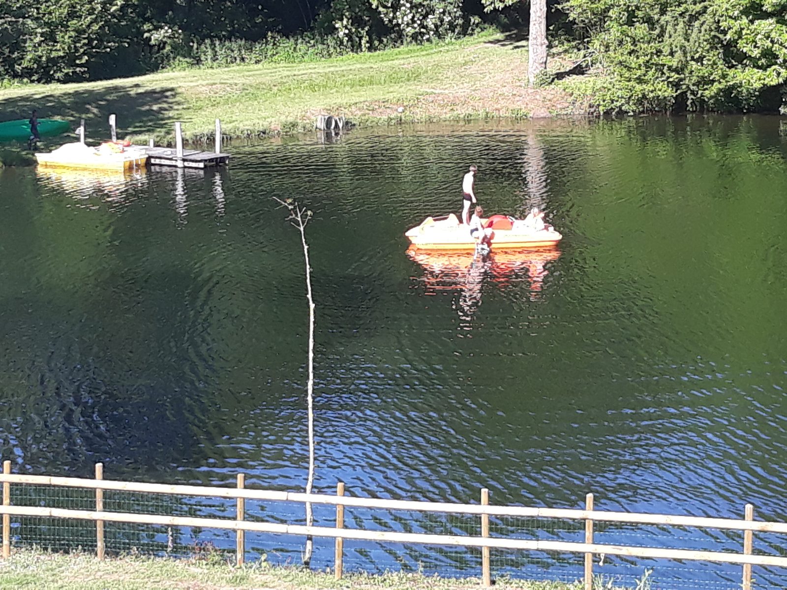 Promenade en pédalo !