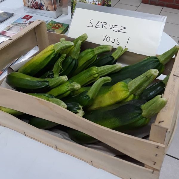 Une envie de légumes frais ??