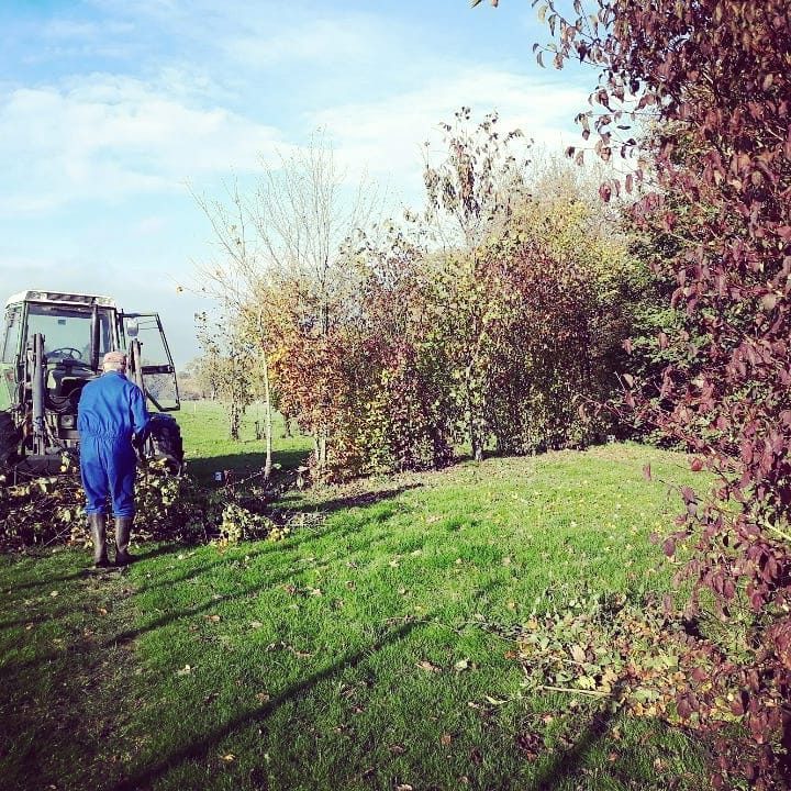 Jolies couleurs d’automne …