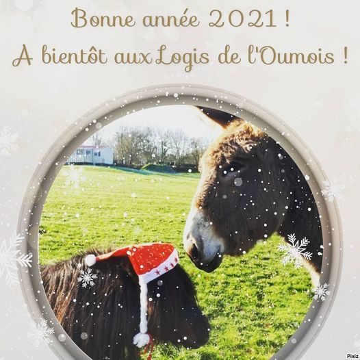 Bonne année !!!