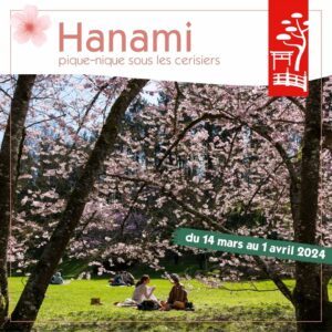 Venez découvrir le « Hanami » au Parc Oriental