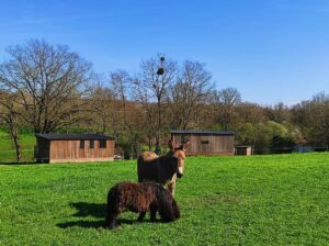 On espère que tous vos bagages sont prêts, tout le monde vous attend aux logis de l’Oumois pour ce grand week-end !!